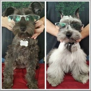 The Reason Behind My Poshmark Closet